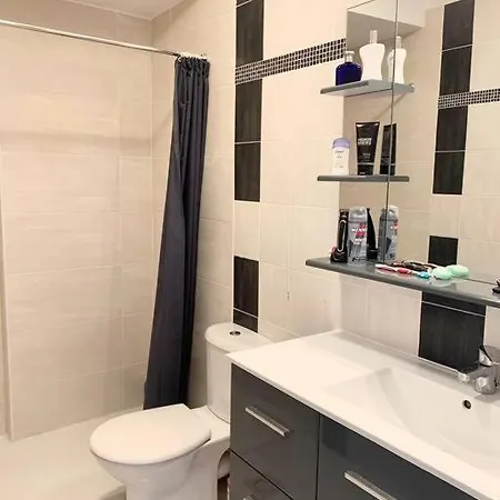 公寓 Les Pins: 30 Metres De La